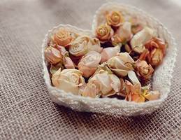 紫微揭秘你另一半的禁忌