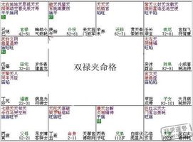 紫微斗數富貴格局：雙祿夾命格