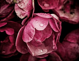 財帛宮看另一半眼中的你