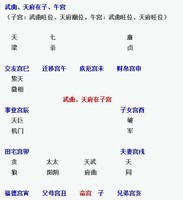 紫微命盤分析：武曲、天府在子、午宮