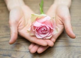 紫微命理看股市的虎羊哲學