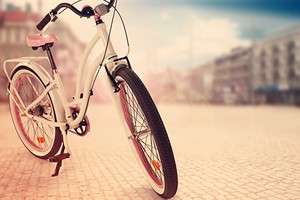 十四星面對禽流感的反應