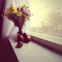 紫微14主星男的補腎食譜