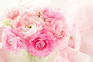 紫微斗數乙級星之天廚星