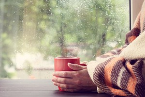 紫微斗事業宮之太陰星