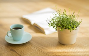 紫微斗數貧賤格局：生不逢時格