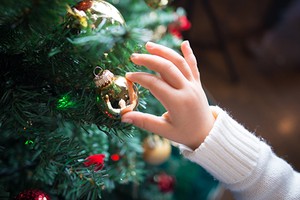 紫微斗數乙級星之寡宿星