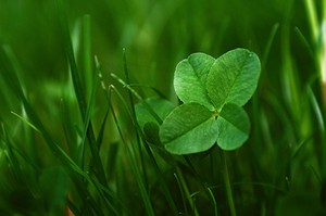 紫微看你如何應對老公出軌？