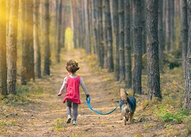 紫微14主星之太陰星詳解