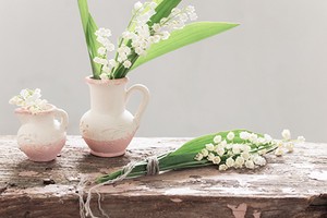 紫微斗數丙級星之旬空星