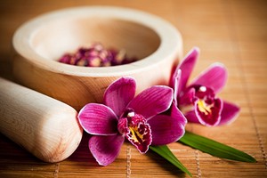 紫微斗數六煞星之地劫星