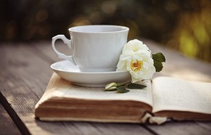 解析天虛12宮男女的命運