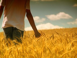 紫微分析你情人對愛情的態度