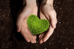 最容易被放暗箭的紫微主星排行