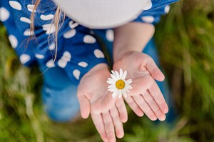 紫微斗數中的星曜等級分類