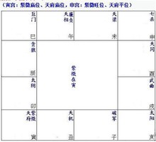 紫微命盤分析：紫微、天府在寅、申宮