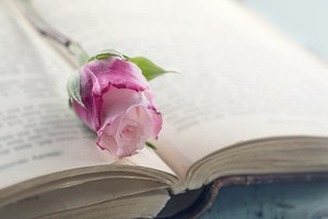 八字怎麼看事業財運