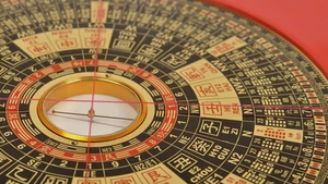 太陰星入子女宮詳解